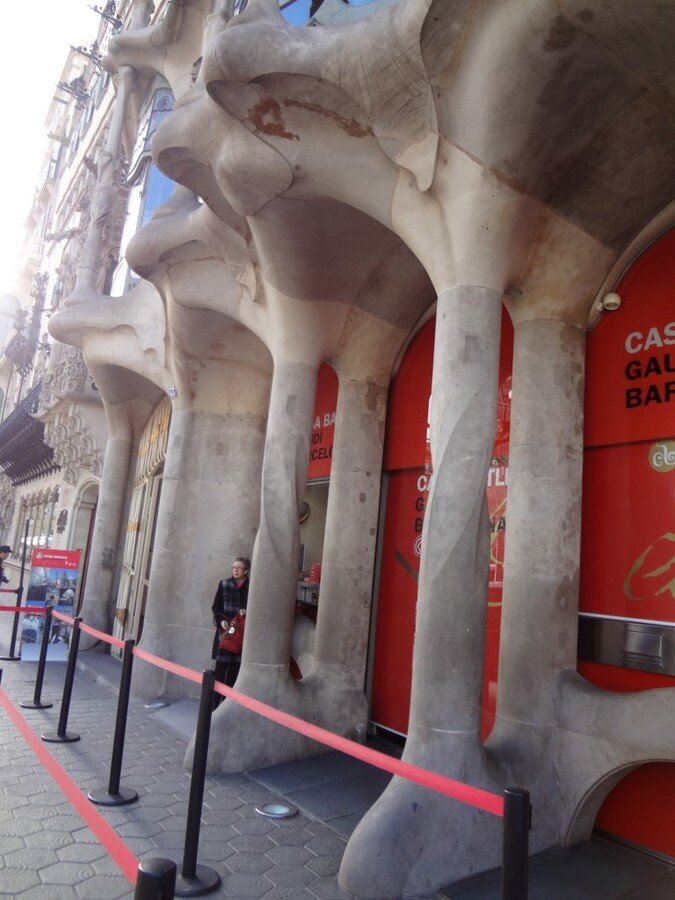 DSC04472 (Large).JPG