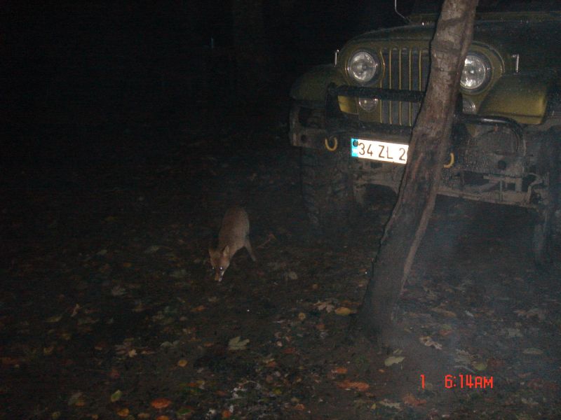 DSC04656.jpg