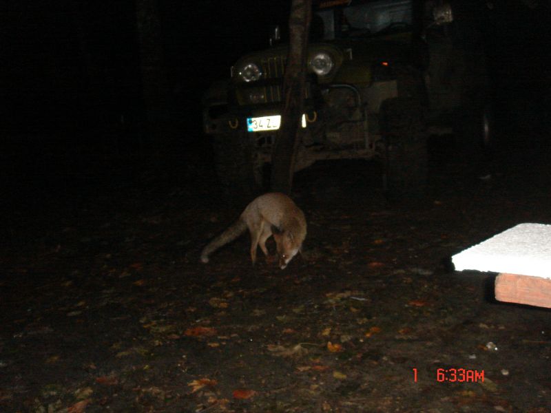 DSC04664.jpg