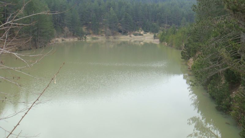 DSC04801.jpg