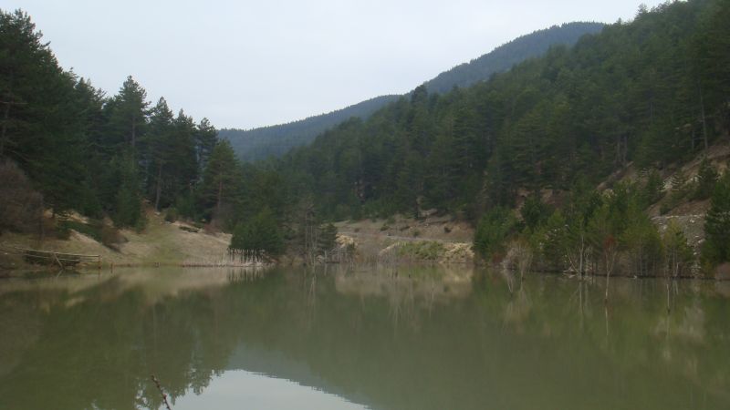 DSC04814.jpg