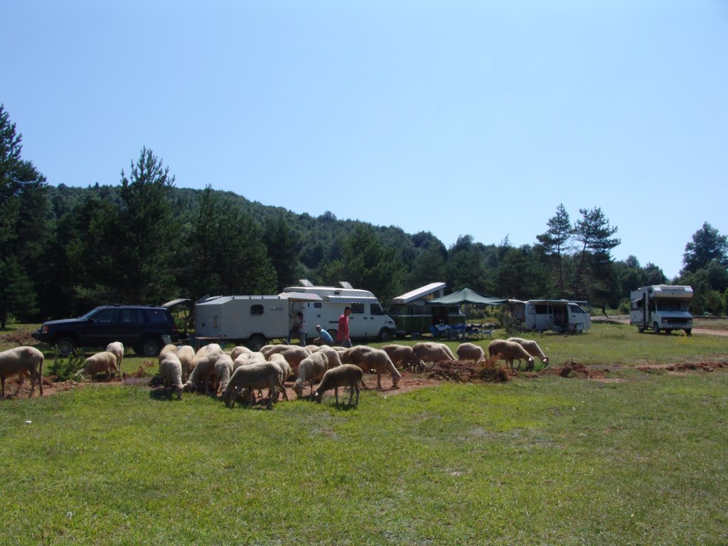 DSC04822.JPG