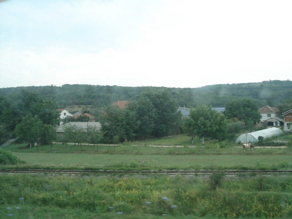 DSC04841.JPG