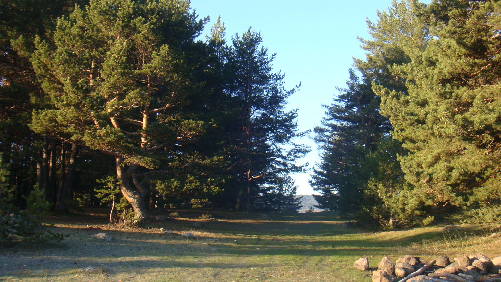 DSC04929.jpg