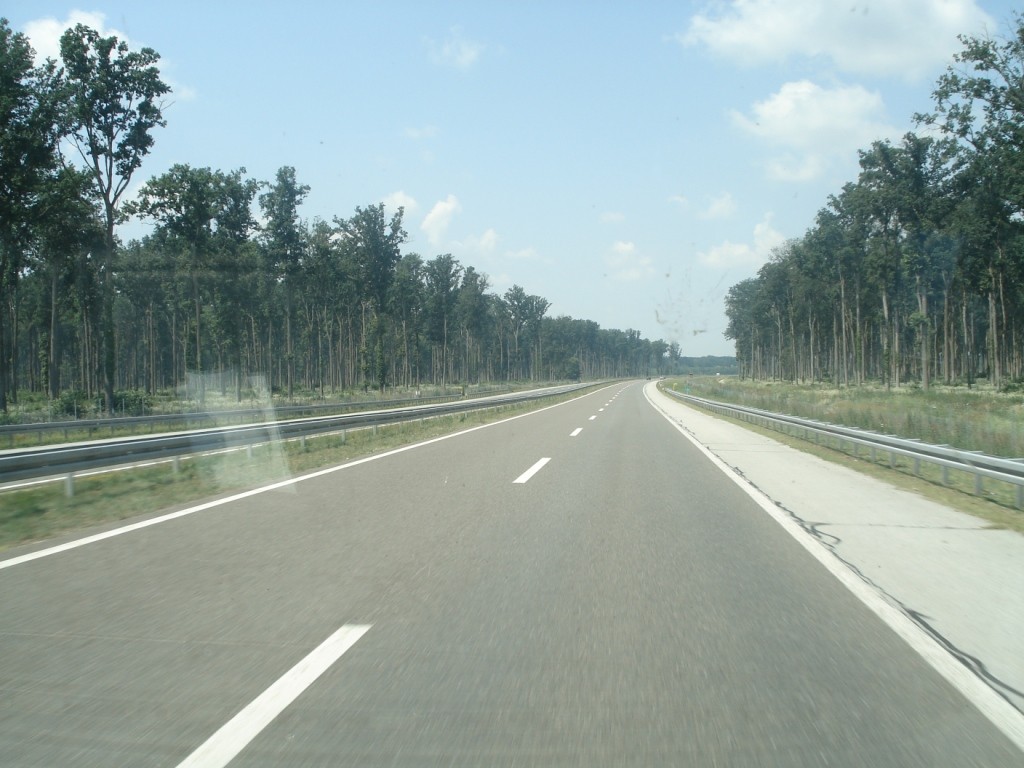 DSC04970.JPG