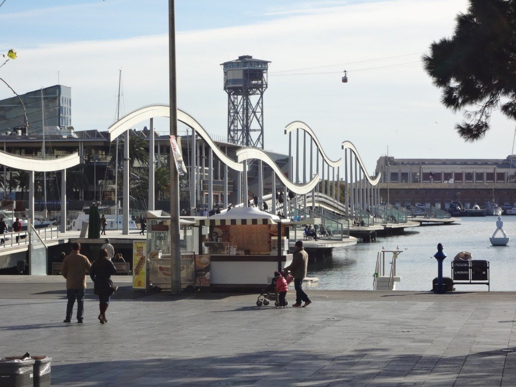 DSC04998 (Large).JPG