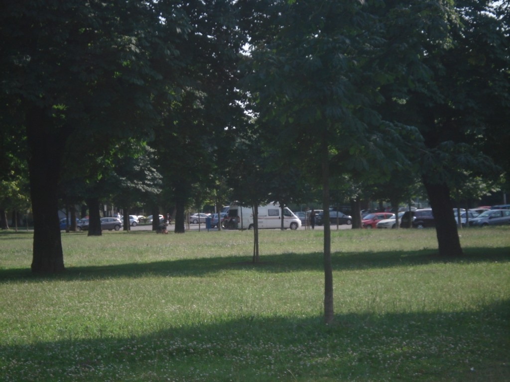 DSC05049.JPG