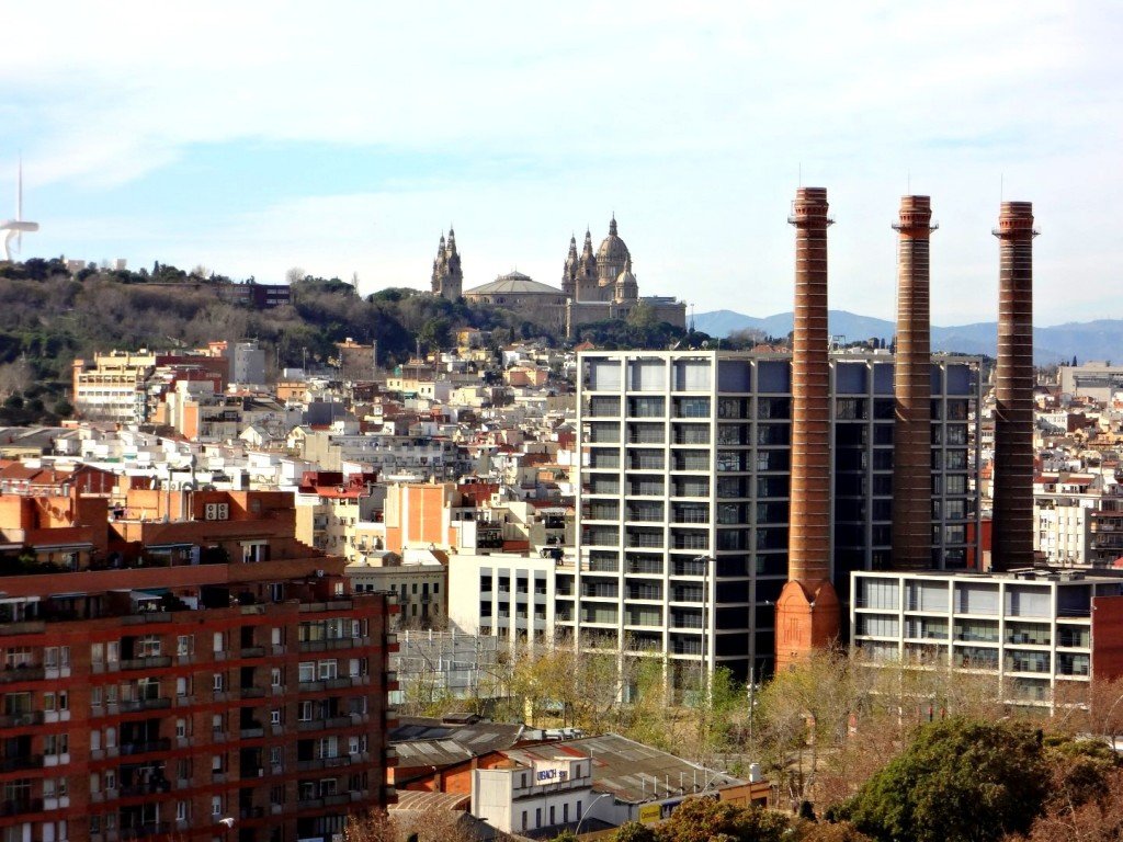 DSC05059 (Large).JPG