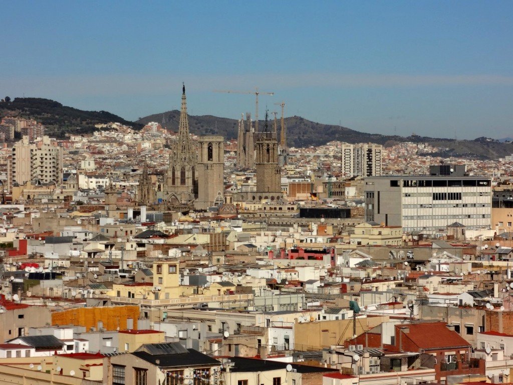 DSC05069 (Large).JPG