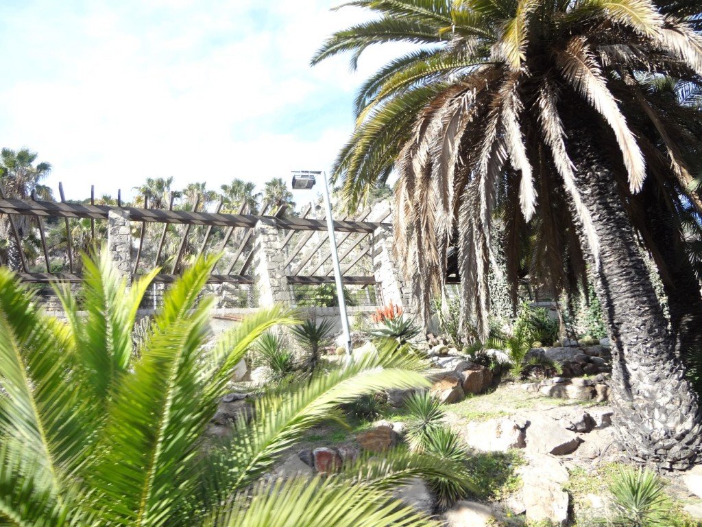 DSC05073 (Large).JPG