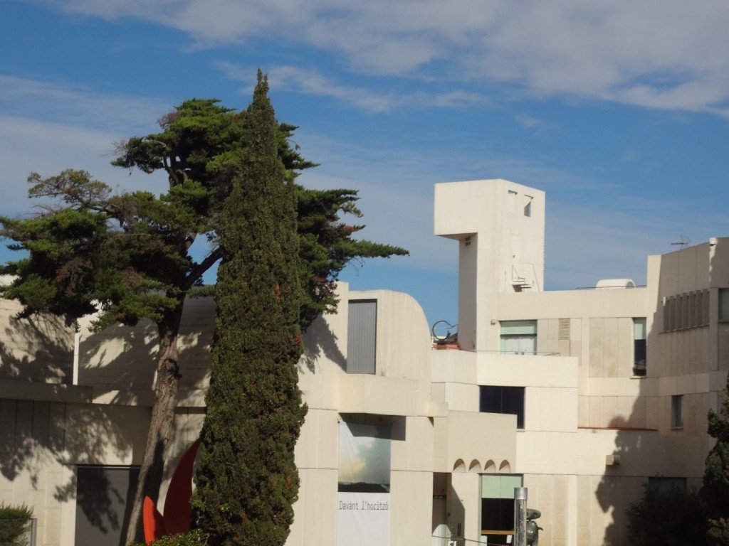 DSC05077 (Large).JPG