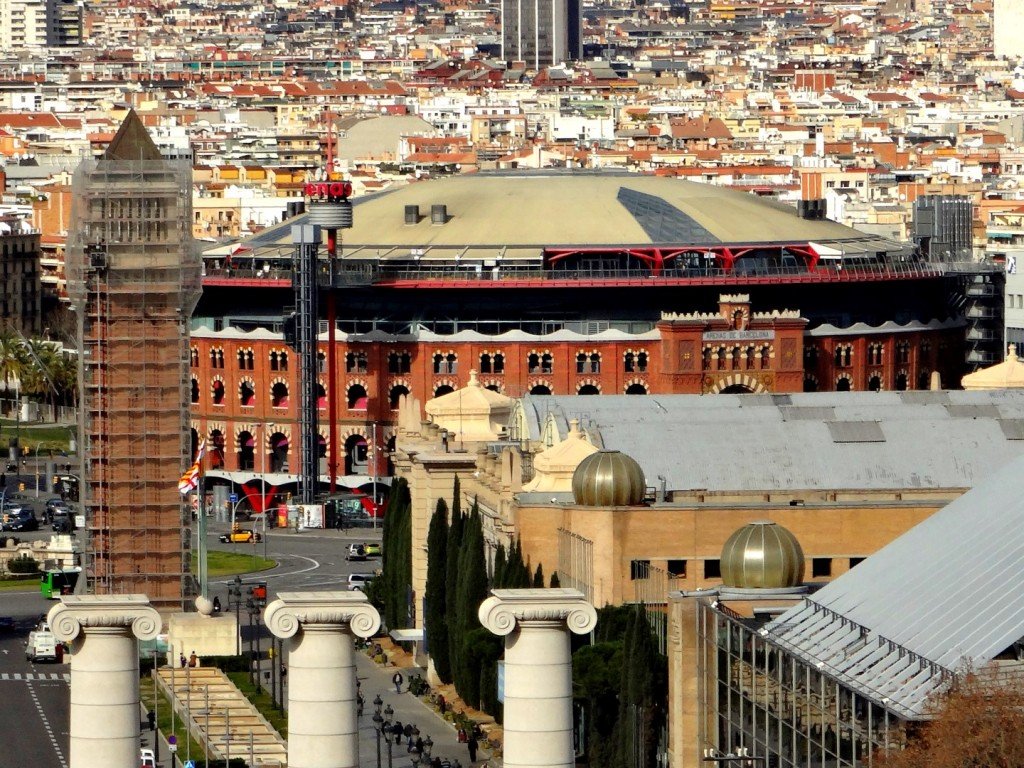 DSC05090 (Large).JPG