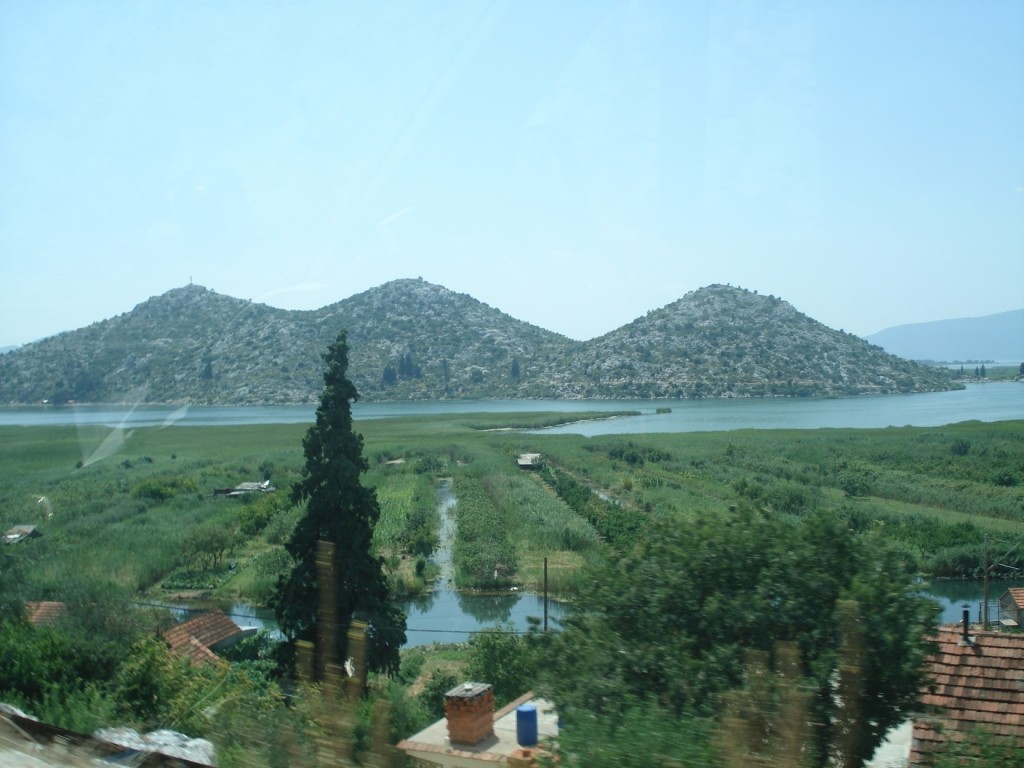 DSC05095.JPG