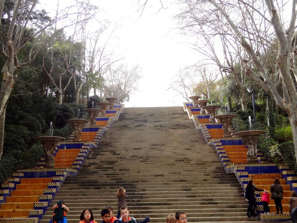 DSC05135 (Large).JPG