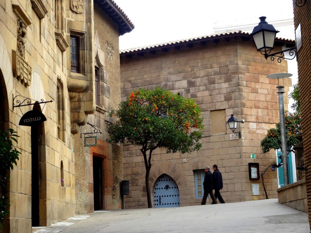 DSC05200 (Large).JPG