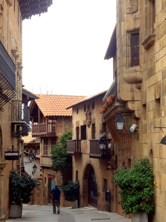 DSC05211 (Large).JPG