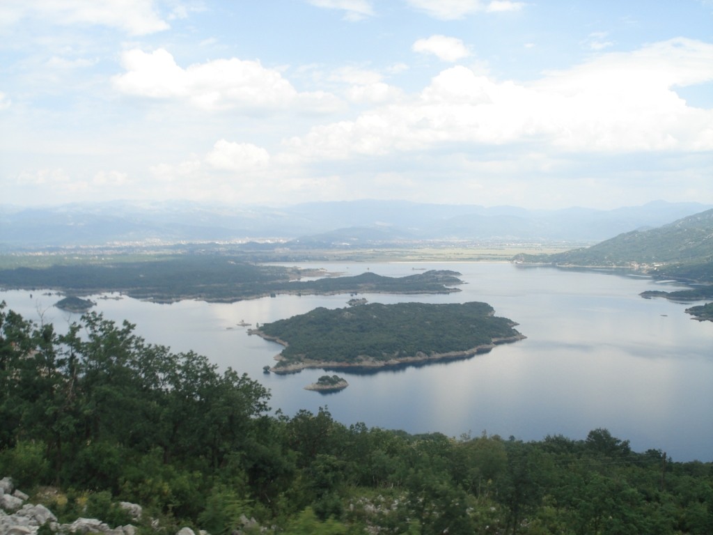DSC05222.JPG