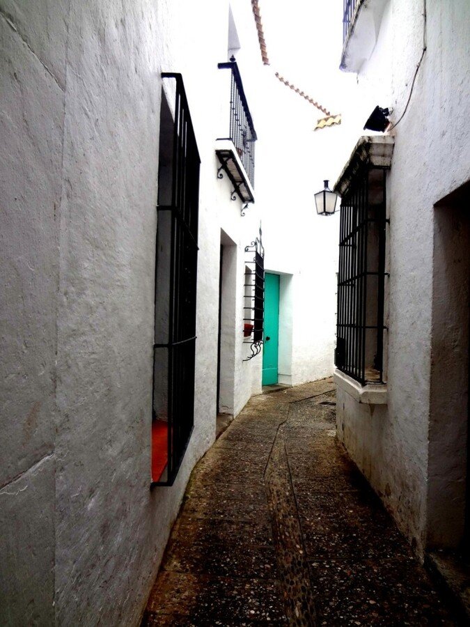 DSC05237 (Large).JPG