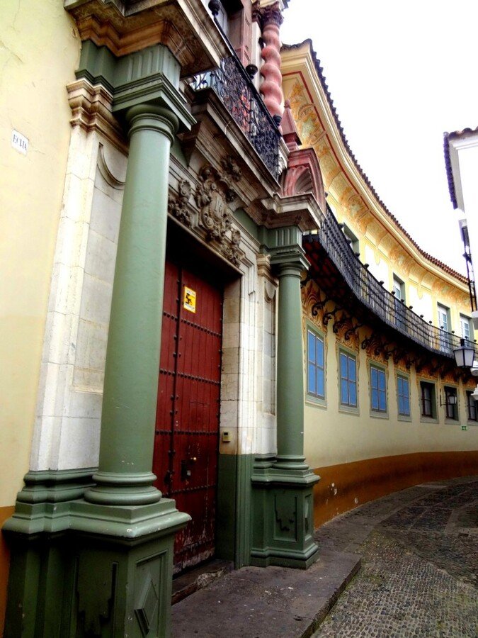 DSC05261 (Large).JPG