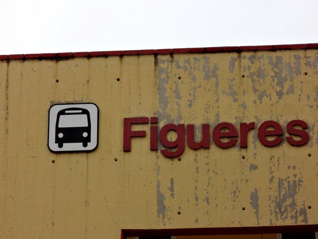 DSC05282 (Large).JPG