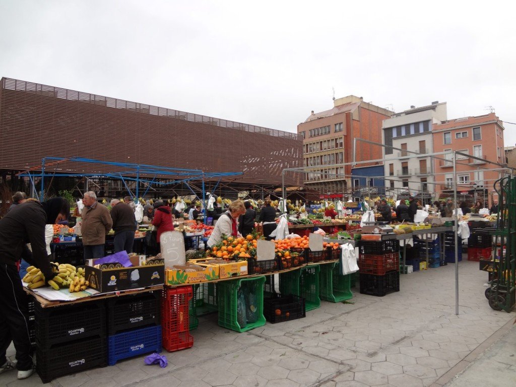 DSC05283 (Large).JPG