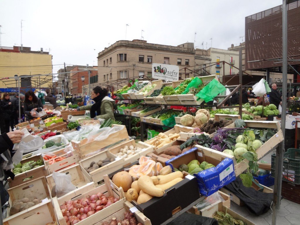 DSC05288 (Large).JPG