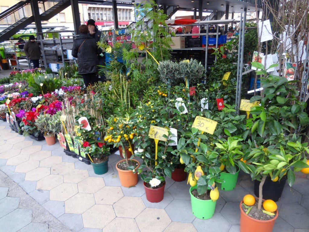 DSC05299 (Large).JPG