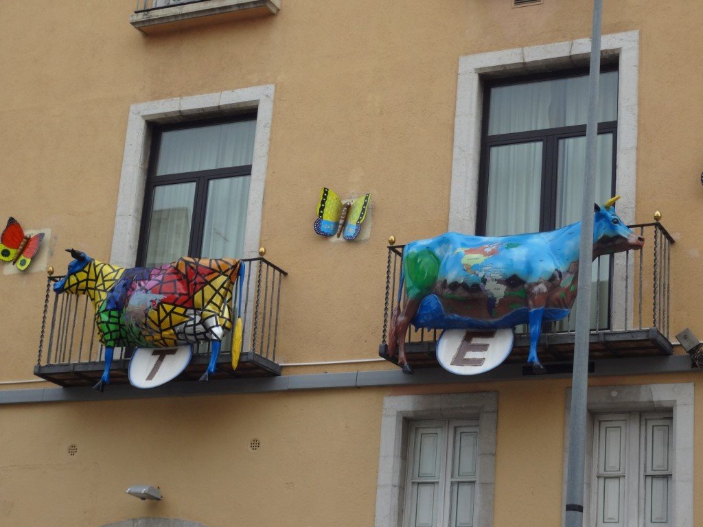 DSC05303 (Large).JPG