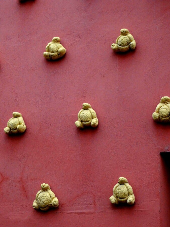 DSC05306 (Large).JPG