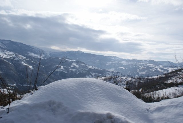 DSC05352 (640x428).jpg