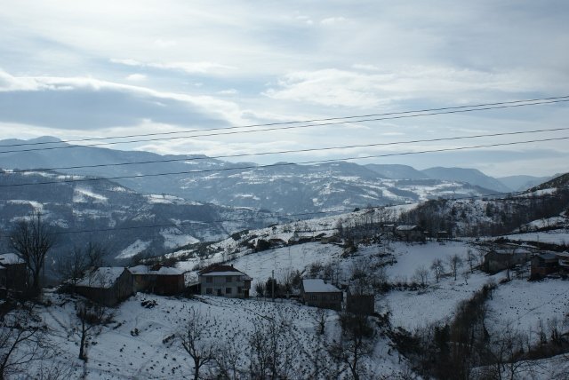 DSC05360 (640x428).jpg