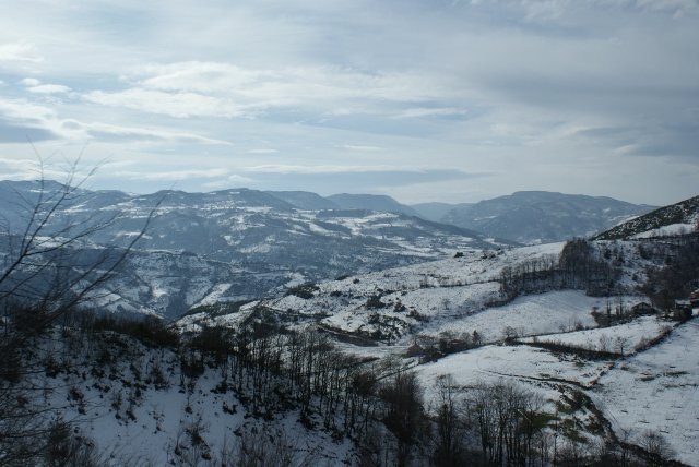 DSC05361 (640x428).jpg