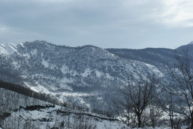 DSC05363 (640x428).jpg