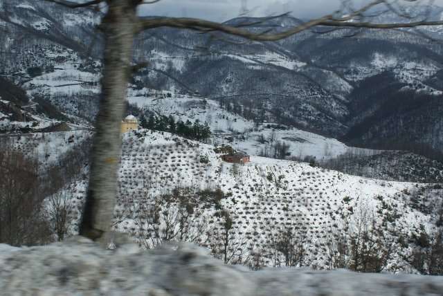 DSC05364 (640x428).jpg