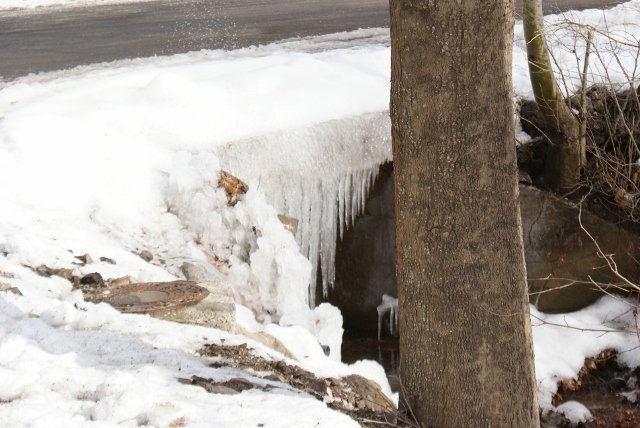 DSC05365 (640x428).jpg