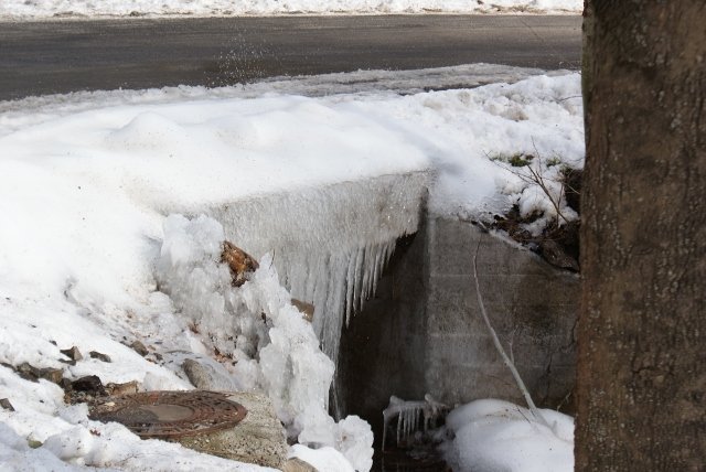 DSC05368 (640x428).jpg