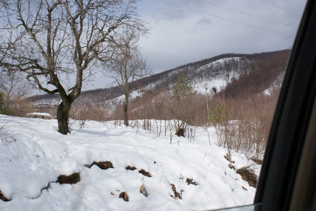 DSC05370 (640x428).jpg