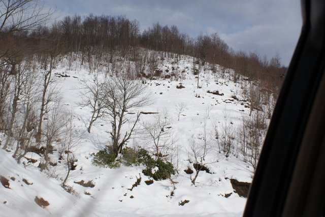 DSC05375 (640x428).jpg