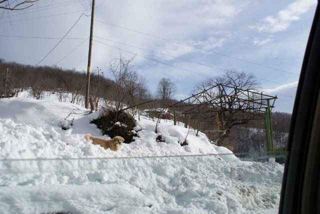 DSC05378 (640x428).jpg