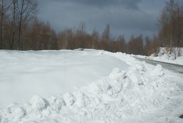 DSC05385 (640x428).jpg