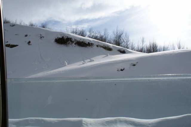 DSC05394 (640x428).jpg