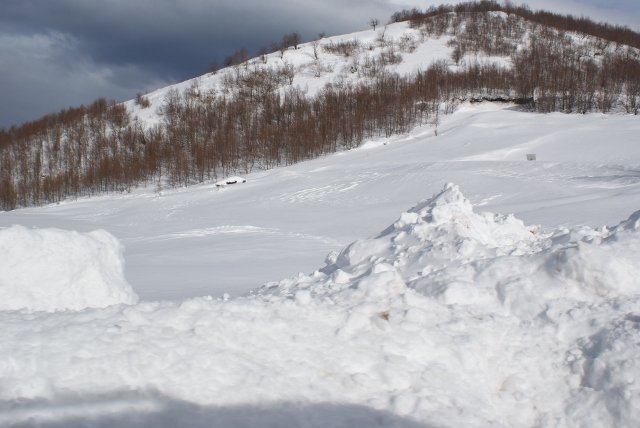 DSC05401 (640x428).jpg