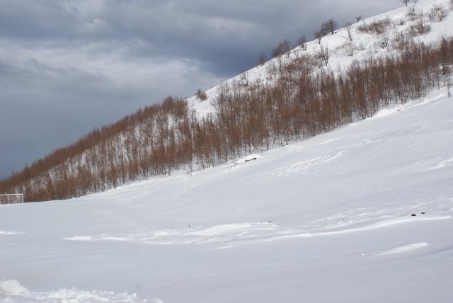 DSC05403 (640x428).jpg