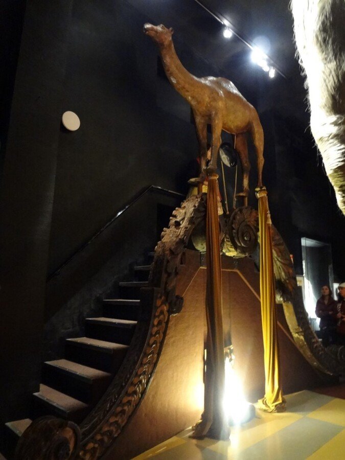 DSC05427 (Large).JPG