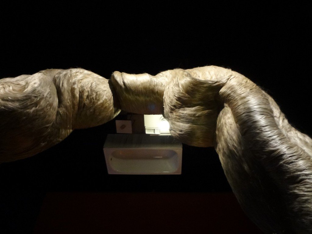 DSC05430 (Large).JPG