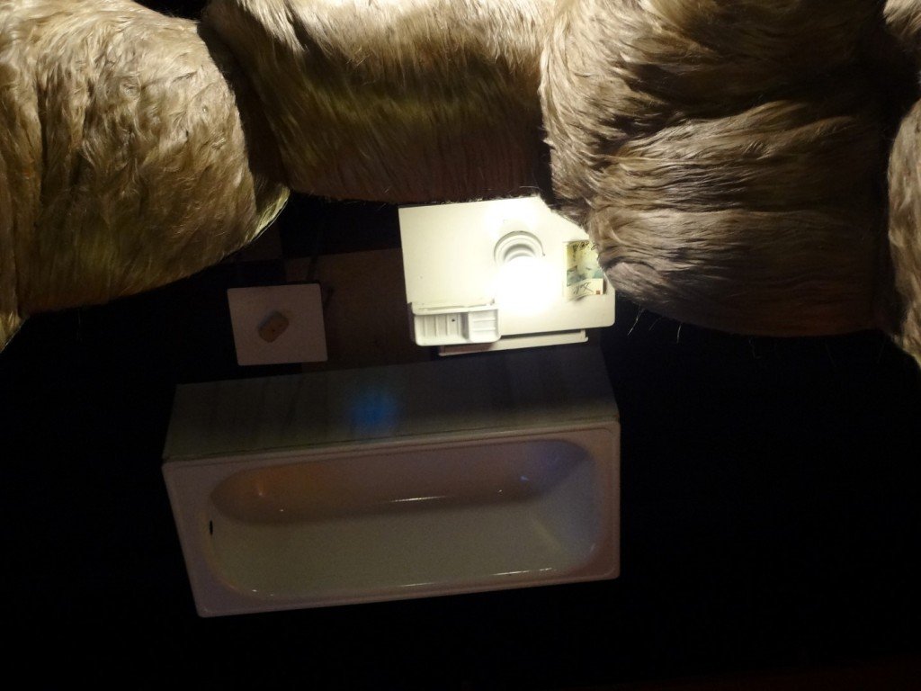 DSC05431 (Large).JPG