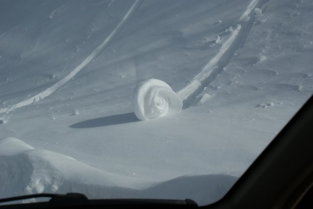 DSC05470 (640x428).jpg