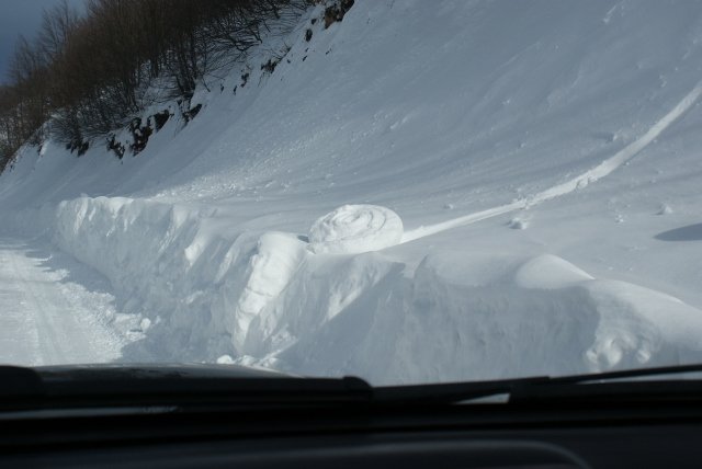 DSC05471 (640x428).jpg