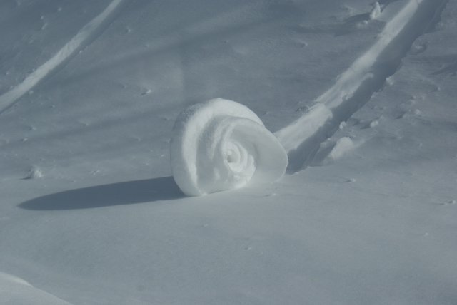 DSC05473 (640x428).jpg