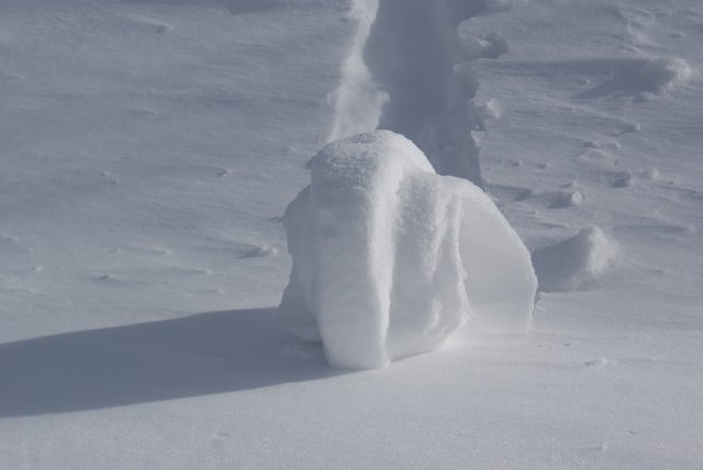 DSC05474 (640x428).jpg